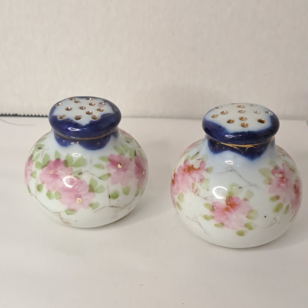 Salt & Pepper Shaker Flower Wild Rose Pink Porcelain Glass Round Antique Vintage